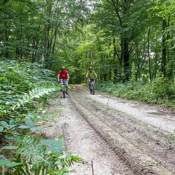 Randonnée à VTT