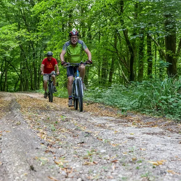 Randonnée à VTT