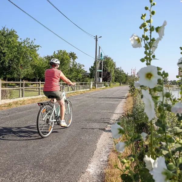 Randonnée Caux Vallée de Seine Circuit Cyclo La Mailleraye-sur-Seine Aurelaune-en-Seine  (13)