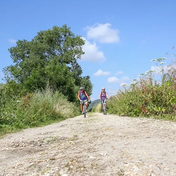 Randonnée à VTT