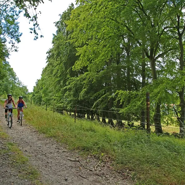 Randonnée Terroir de Caux Du chemin vert au chemin de fer (1)