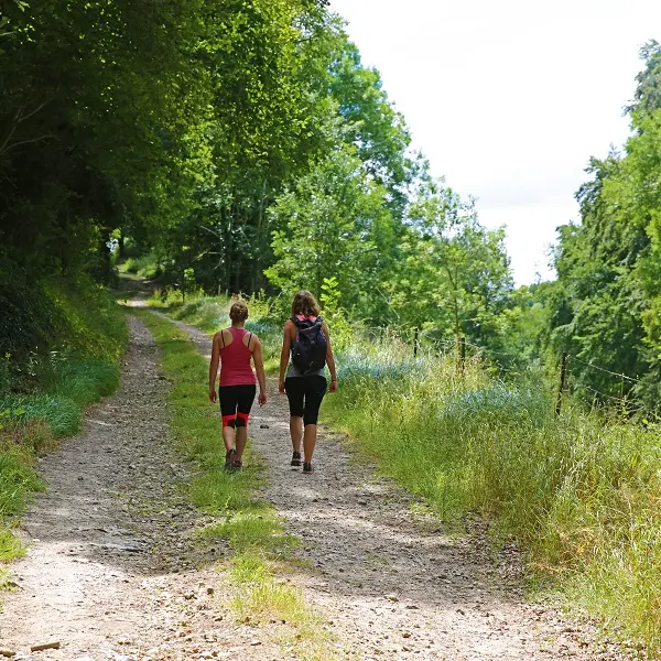 Randonnée Terroir de Caux Du chemin vert au chemin de fer (3)