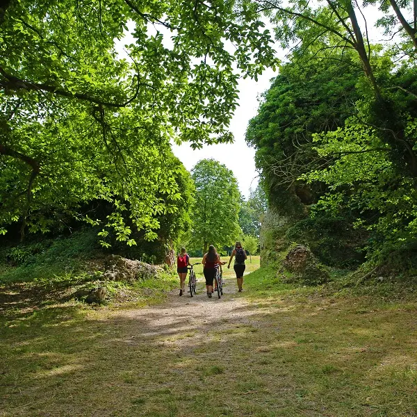 Randonnée Terroir de Caux Des Glycines à la Porte Noire (7)