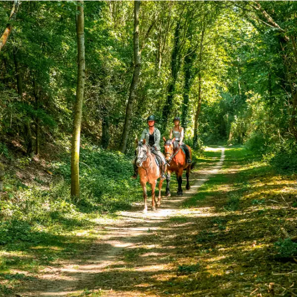 Randonnée Villes Soeurs Chemin Vert du Petit Caux