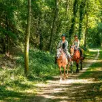 Cheval en Seine-Maritime