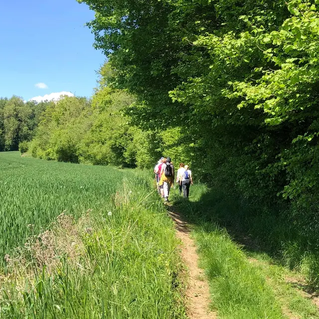 Radonnée Beaussault RDV - Mai 2022 (3)