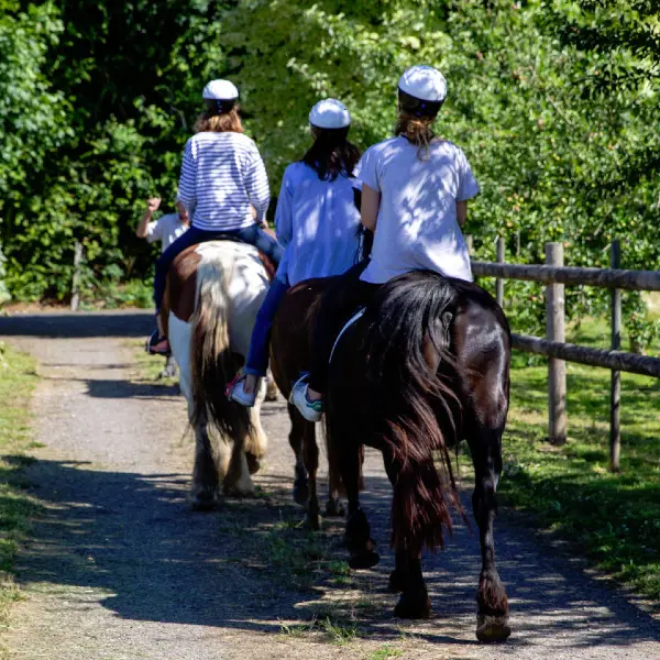 Reportage_équitation_V.DEBELS-106 800x600
