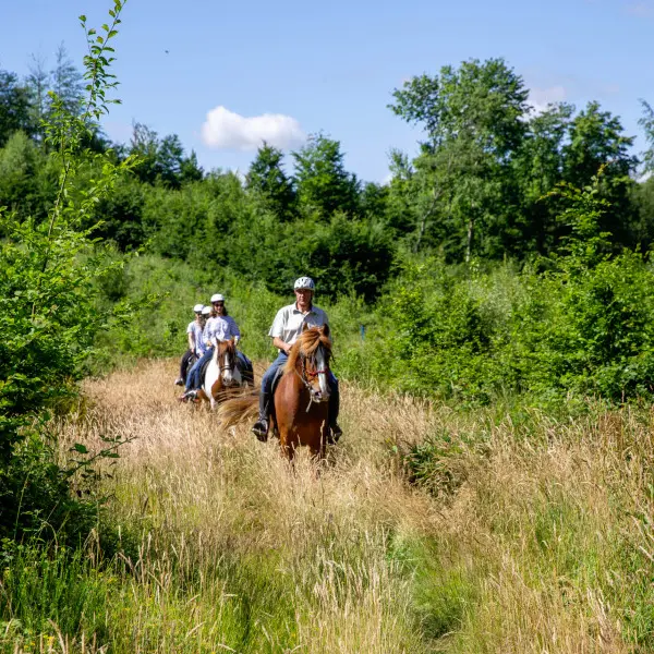 Reportage_équitation_V.DEBELS-118 800x600