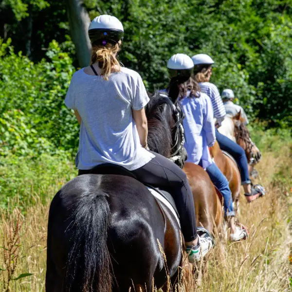Reportage_équitation_V.DEBELS-124 800x600