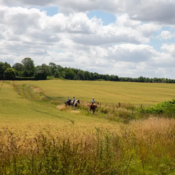 Reportage_équitation_V.DEBELS-164 800x600