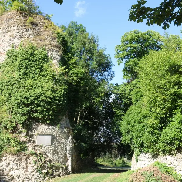 Ruines du Château de Longueville