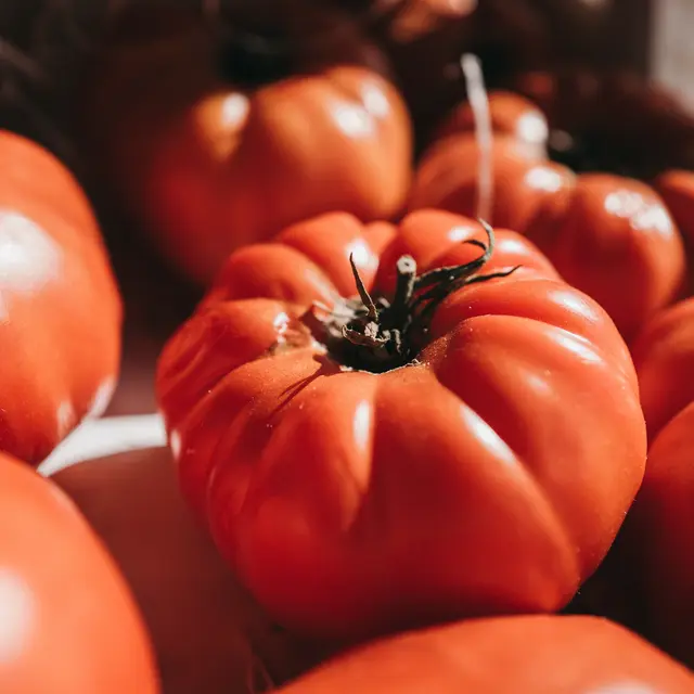 SVC-COMMERCES-tomate-fruit-27©auger