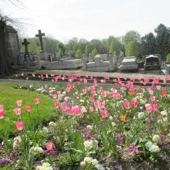 Le Printemps au cimetière