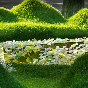 Du côté de Flora Artefacta