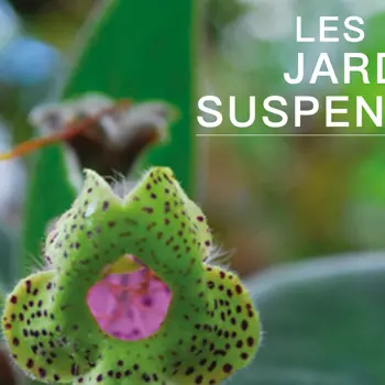Jardins Suspendus 2025