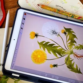 Atelier : Dessin numérique sur Procreate