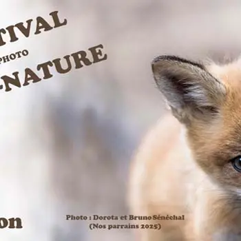 Festival Spot Nature