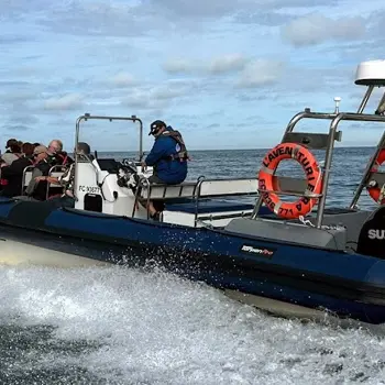 Visite des bassins