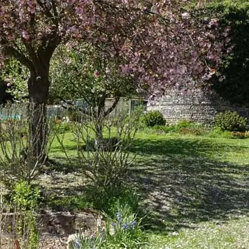 Domaine du Colmoulins