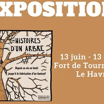 Exposition - Histoire d'un arbre