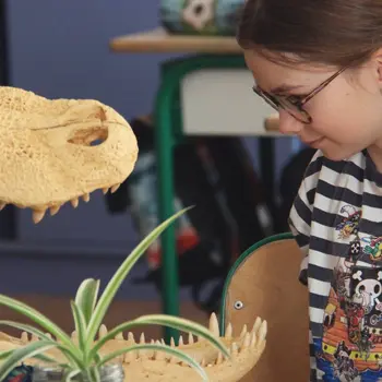 Atelier : Chacun ses goûts