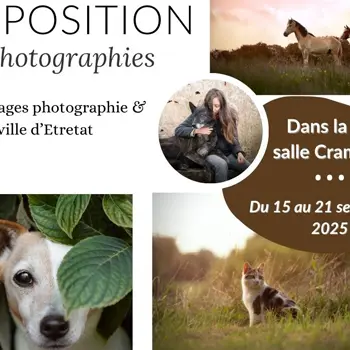Exposition - photographie animalière