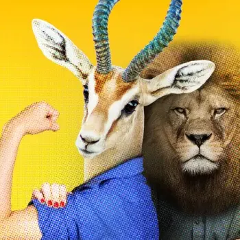 Girl power VS mâle alpha : le genre dans le règne animal
