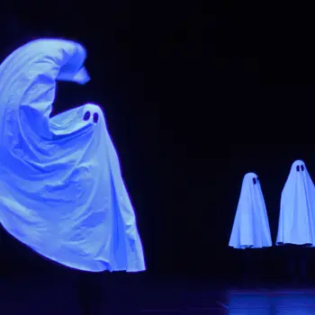 Pillowgraphies