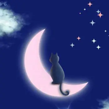 Nuit