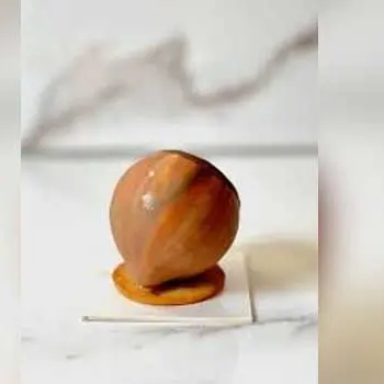 Mini-Stage Trompe-l’œil Noisette