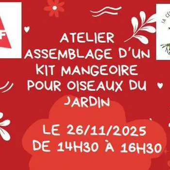 Fabrique une Mangeoire pour les Oiseaux du Jardin