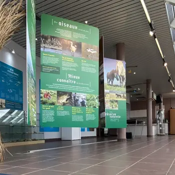 Mercredi Nature : Escape Game