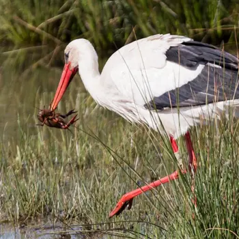 L’estuaire de la Seine