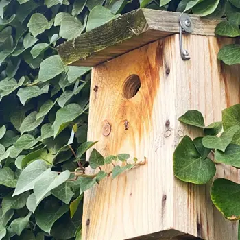 On prépare le printemps