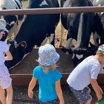 Visite familale - ferme d'épaville