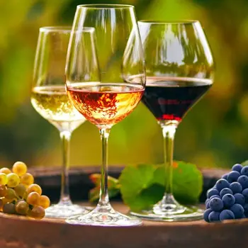 Dans les Coulisses du Vin - Secrets de vinification