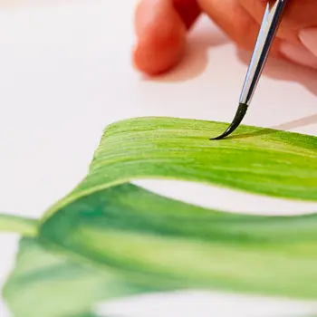 Peindre le monde végétal