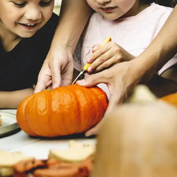 Cucurbitacées et compagnie