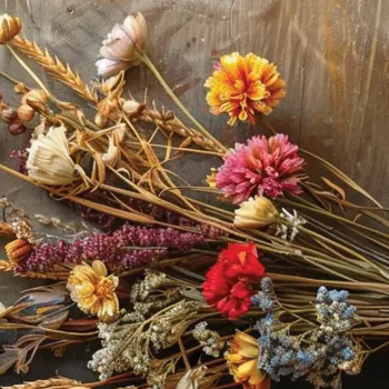 Les bouquets secs muraux