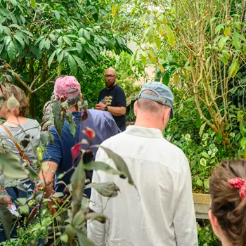 Serres des jardins suspendues