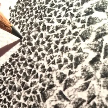 Exposition : Map of time