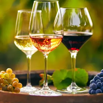 À la découverte des vins du Languedoc