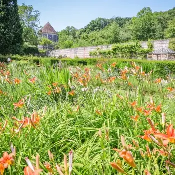 Les quatre saisons du parc de Rouelles