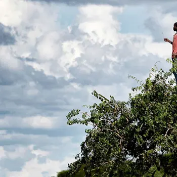 Printemps des poètes