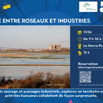 Entre roseaux et industries