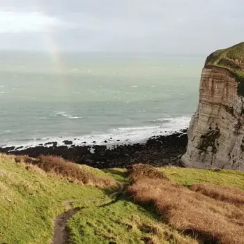 La valleuse d'Antifer