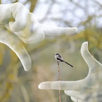 365 jours – Photographies de Sébastien Boullier