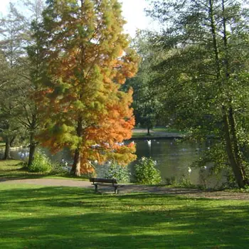 Parc de Rouelles