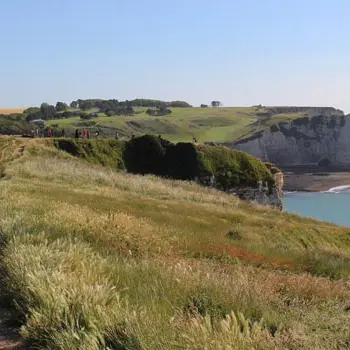 Falaise d'Etretat
