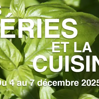 Rencontres Havre Séries 2025